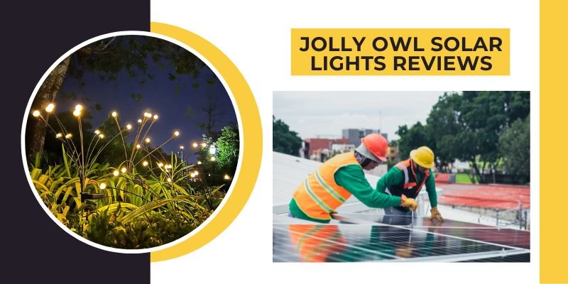 Jolly Owl solar lights reviews